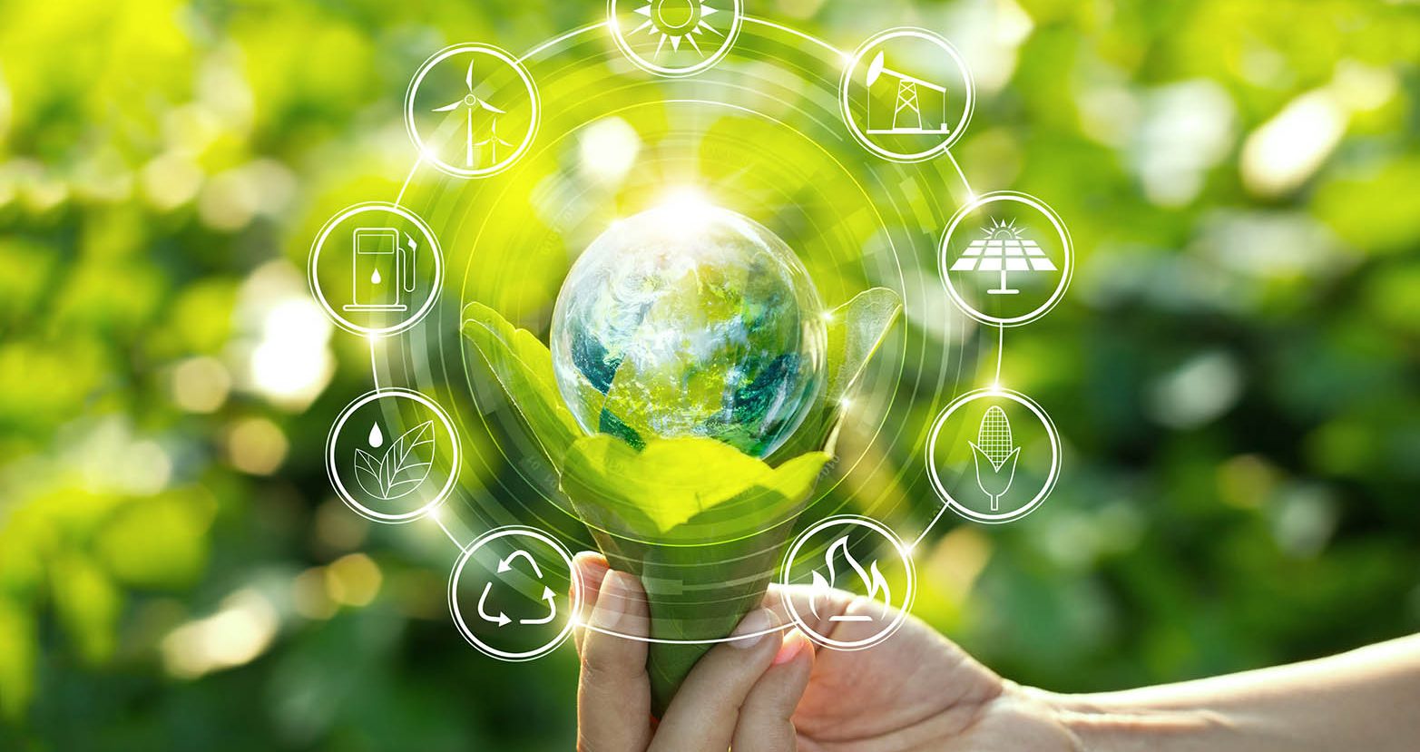 Sustainability as a Market Advantage